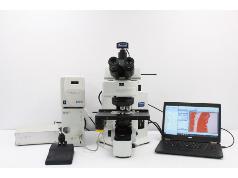 Olympus BX61 Upright Fluorescence Metal Halide Motorized XY Microscope (New Filters) Pred BX63