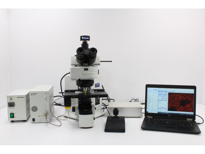 Olympus BX61 Upright Fluorescence Microscope with Motorized XY Stage (New Filters) Pred BX63