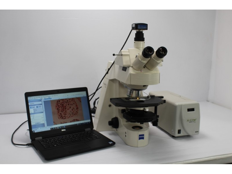 Zeiss Axioplan 2 Upright Metal Halide Fluorescence Microscope (New Filters) Pred Axioscope 5