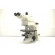 Zeiss Axioskop 2 Upright Fluorescence Microscope (New Filters) Pred Axioscope 5