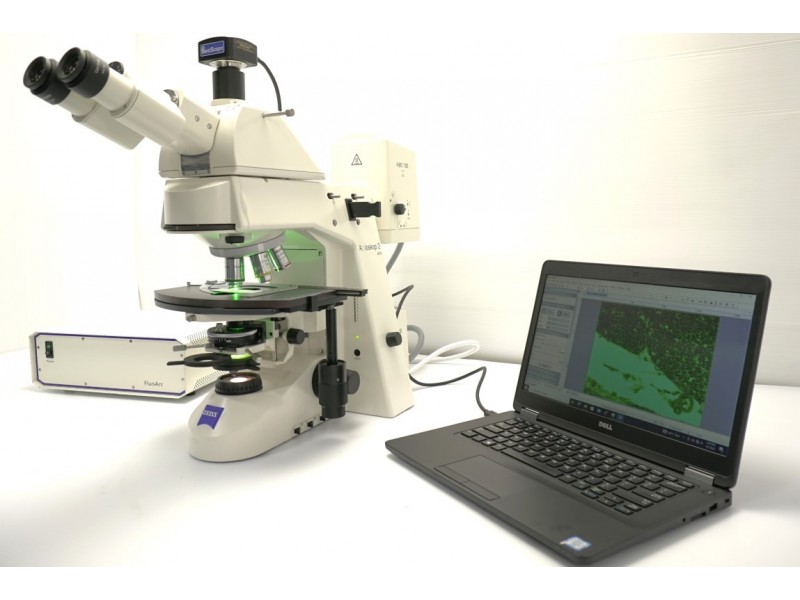Zeiss Axioskop 2 Upright Fluorescence Microscope (New Filters) Pred Axioscope 5
