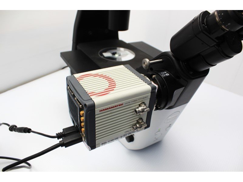 Hamamatsu ORCA-Flash4.0 V2 sCMOS Microscope Camera Hamamatsu ORCA-Flash4.0 V2 sCMOS Microscope Camera