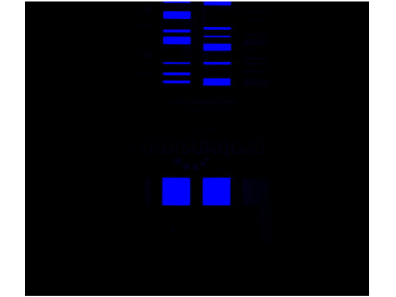 LI-COR Licor Odyssey FC 2800 Western Blot Imaging system Pred XF Unit 2