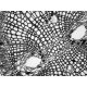 Photometrics CoolSnap Dyno Monochrome CCD Microscope Camera