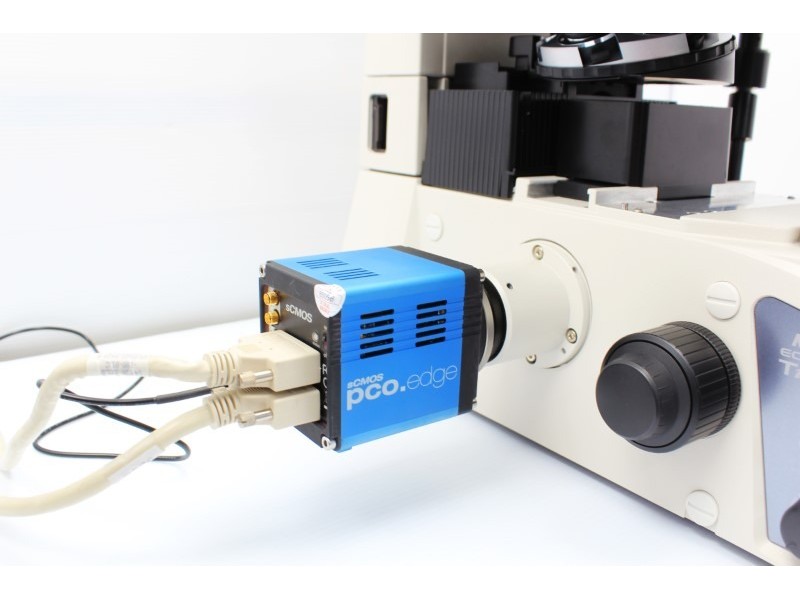 pco.edge 5.5 Rolling Shutter sCMOS Microscope Camera (Camera Link)