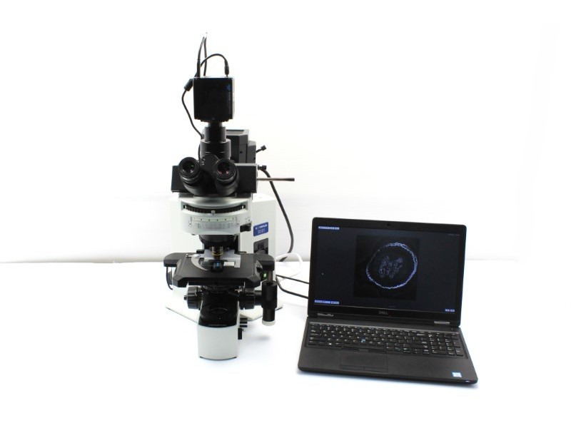 Teledyne Photometrics Prime BSI Express sCMOS Monochrome Microscope Camera