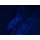 Zeiss Observer D1 Inverted LED Fluorescence Microscope (New Filters)