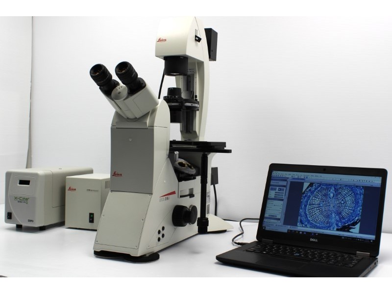 Leica DMi8 Inverted Fluorescence Phase Contrast Microscope (New Filters)