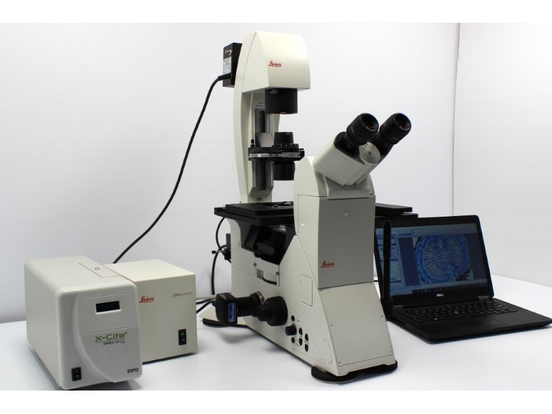 Leica DMi8 Inverted Fluorescence Phase Contrast Microscope (New Filters)