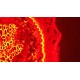 Leica DMi8 Inverted LED Fluorescence Motorized Microscope (New Filters)