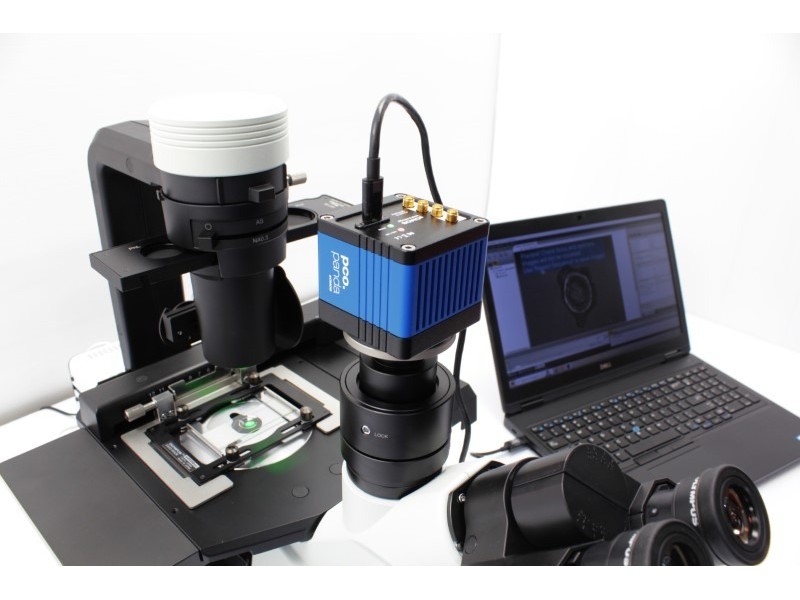 pco.panda 4.2 M Monochrome sCMOS Microscope Camera