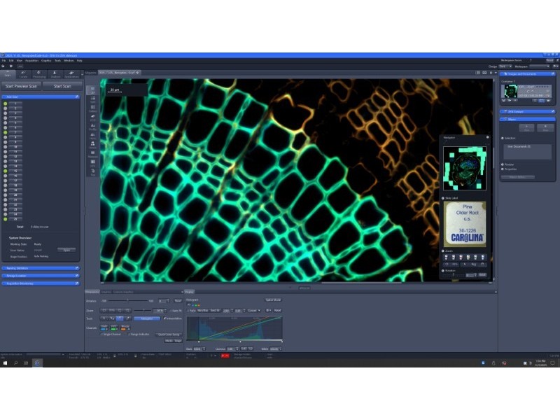 Zeiss Axioscan 7 Slide Scanner For Brightfield & Fluorescence Applications w/ Colibri 7 Solid-State Light Source