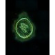 Zeiss Axioscan 7 Slide Scanner For Brightfield & Fluorescence Applications w/ Colibri 7 Solid-State Light Source