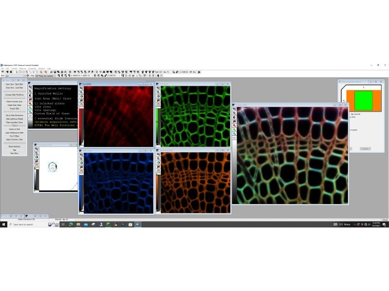 Molecular Devices ImageXpress Micro Confocal HT.ai High-Content Laser Imaging System Including Robot w/ Environmental Control, Water Immersion & Transmitted Light Options