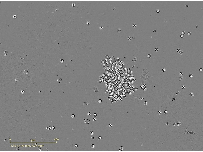 Sartorius Essen Incucyte S3 Live-Cell Imaging and Analysis System with G/R Optical Module