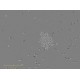 Sartorius Essen Incucyte S3 Live-Cell Imaging and Analysis System with G/R Optical Module