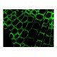 Leica DM6 B Upright Fluorescence Microscope with Motorized Stage Leica DM6 B Upright Fluorescence Microscope with Motorized Stage