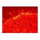 Leica DM6000 Upright Fluorescence Motorized Microscope Leica DM6000 Upright Fluorescence Motorized Microscope