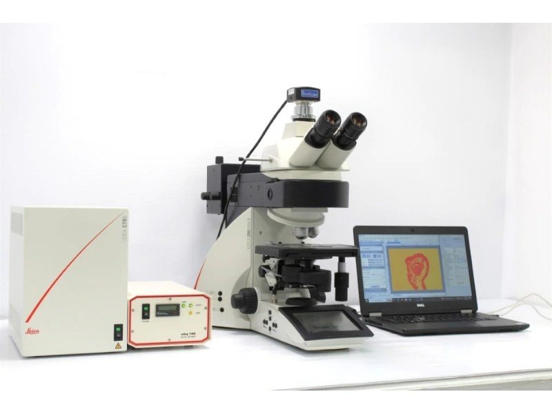 Leica DM6000 Upright Fluorescence Motorized Microscope Leica DM6000 Upright Fluorescence Motorized Microscope