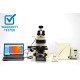 Leica DM6000 Upright Fluorescence Motorized Microscope with Motorized XY Stage Leica DM6000 Upright Fluorescence Motorized Microscope with Motorized XY Stage