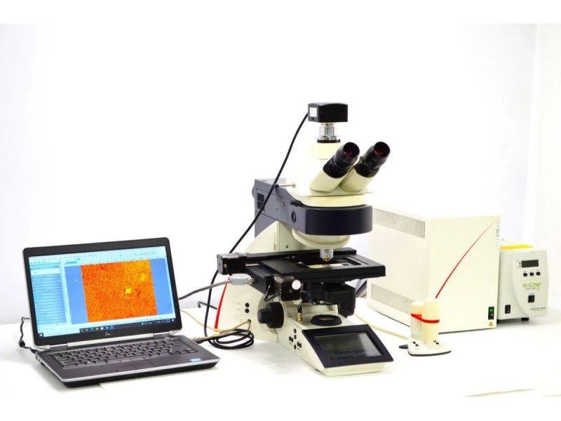 Leica DM6000 Upright Fluorescence Motorized Microscope with Motorized XY Stage Leica DM6000 Upright Fluorescence Motorized Microscope with Motorized XY Stage