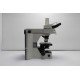 Nikon Eclipse 80i Upright Fluorescence Microscope (New Filters)