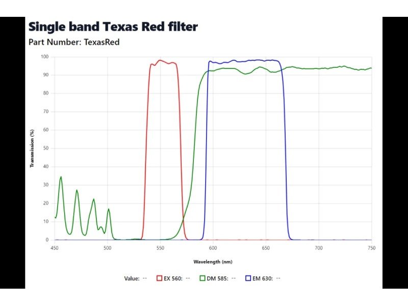 Nikon Eclipse 80i Upright Fluorescence Phase Contrast Microscope (New Filters)