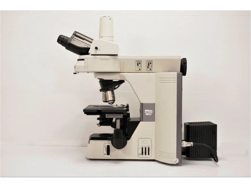Nikon Eclipse 80i Upright Fluorescence Phase Contrast Microscope (New Filters)