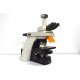 Nikon Eclipse Ni-U Upright Fluorescence Phase Contrast Microscope with Motorized Stage (New Filters)
