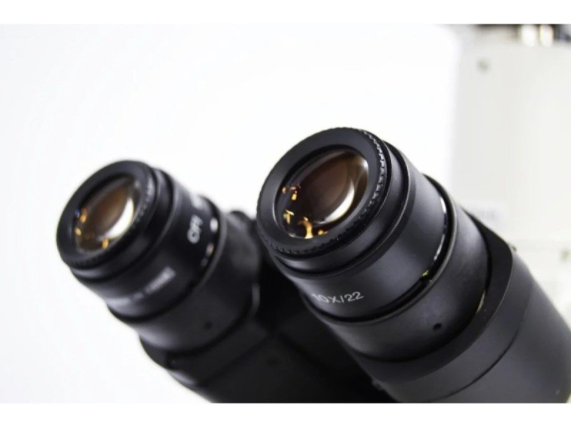 Nikon Eclipse Ni-U Upright Fluorescence Phase Contrast Microscope with Motorized Stage (New Filters)