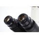 Nikon Eclipse Ni-U Upright Fluorescence Phase Contrast Microscope with Motorized Stage (New Filters)