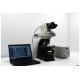 Nikon Ni-U Upright Fluorescence Microscope (New Filters)