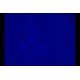 Nikon Eclipse TE2000-E Inverted Fluorescence Motorized Microscope Nikon Eclipse TE2000-E Inverted Fluorescence Motorized Microscope