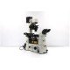 Nikon Eclipse Ti-E Inverted LED Fluorescence DIC Motorized XY Microscope Nikon Eclipse Ti-E Inverted LED Fluorescence DIC Motorized XY Microscope