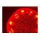 Nikon Eclipse Ti-E Inverted LED Fluorescence DIC Motorized XY Microscope Nikon Eclipse Ti-E Inverted LED Fluorescence DIC Motorized XY Microscope