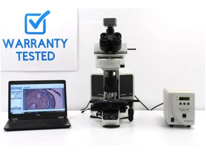 Olympus BX46F Upright Fluorescence Microscope (New Filters) Olympus BX46F Upright Fluorescence Microscope (New Filters)