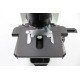Olympus BX46F Upright Fluorescence Microscope (New Filters) Olympus BX46F Upright Fluorescence Microscope (New Filters)