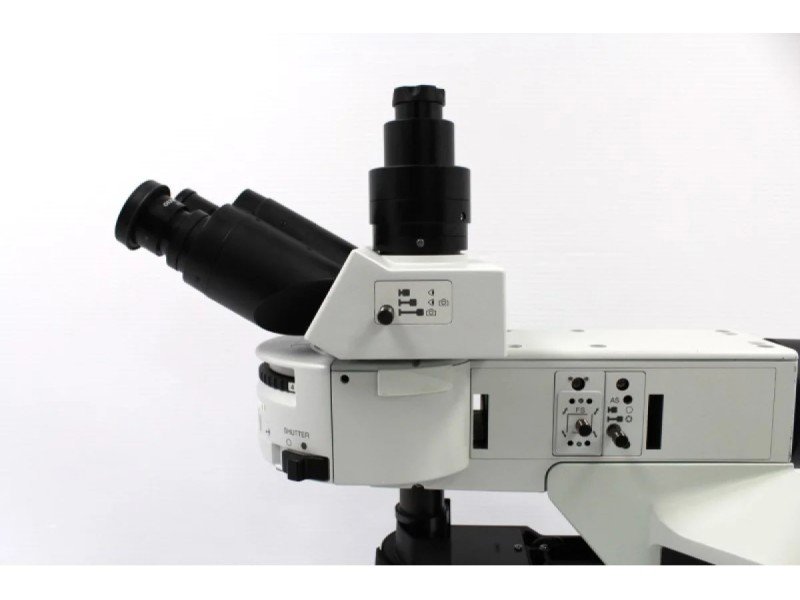 Olympus BX46F Upright Fluorescence Microscope (New Filters) Olympus BX46F Upright Fluorescence Microscope (New Filters)