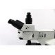 Olympus BX46F Upright Fluorescence Microscope (New Filters) Olympus BX46F Upright Fluorescence Microscope (New Filters)