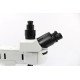 Olympus BX46F Upright Fluorescence Microscope (New Filters) Olympus BX46F Upright Fluorescence Microscope (New Filters)