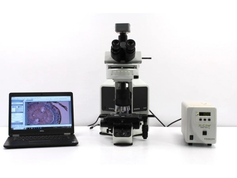 Olympus BX46F Upright Fluorescence Microscope (New Filters) Olympus BX46F Upright Fluorescence Microscope (New Filters)
