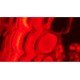 Olympus BX46F Upright Fluorescence Microscope (New Filters) Olympus BX46F Upright Fluorescence Microscope (New Filters)