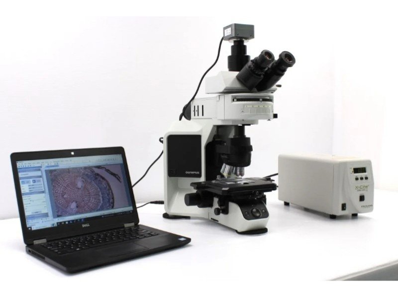 Olympus BX46F Upright Fluorescence Microscope (New Filters) Olympus BX46F Upright Fluorescence Microscope (New Filters)