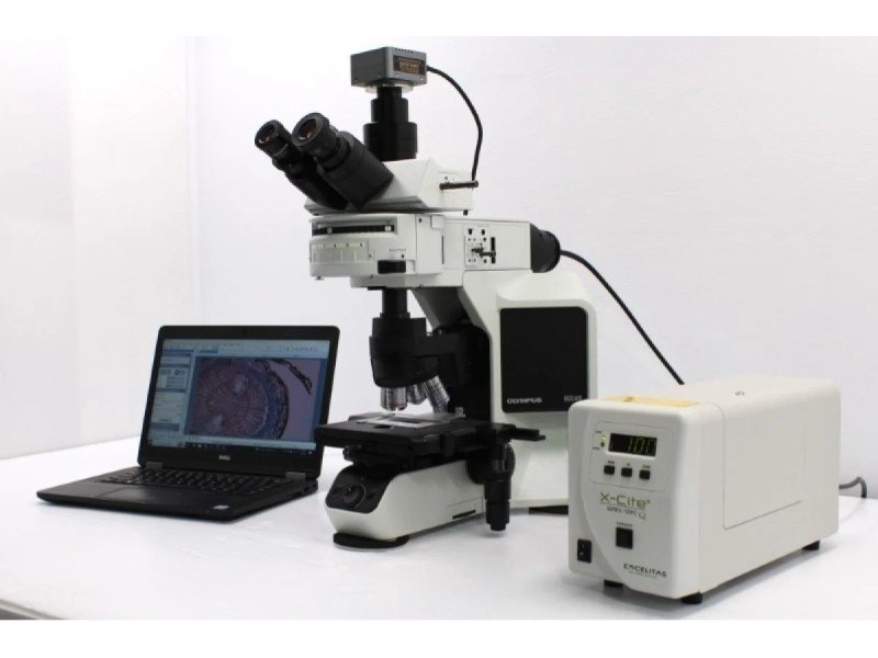 Olympus BX46F Upright Fluorescence Microscope (New Filters) Olympus BX46F Upright Fluorescence Microscope (New Filters)