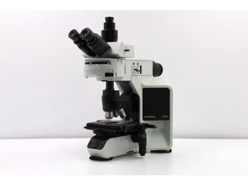 Olympus BX46F Upright Fluorescence Microscope (New Filters) Olympus BX46F Upright Fluorescence Microscope (New Filters)