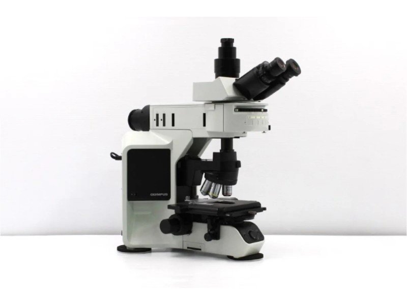 Olympus BX46F Upright Fluorescence Microscope (New Filters) Olympus BX46F Upright Fluorescence Microscope (New Filters)