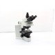 Olympus BX51 Upright Fluorescence Phase Contrast Mechanical Microscope (New Filters)