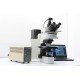 Olympus BX51 Upright Fluorescence Phase Contrast Mechanical Microscope (New Filters)