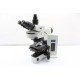 Olympus BX51 Upright Fluorescence Phase Contrast Mechanical Microscope (New Filters)