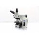 Olympus BX51 Upright Fluorescence Phase Contrast Mechanical Microscope (New Filters)